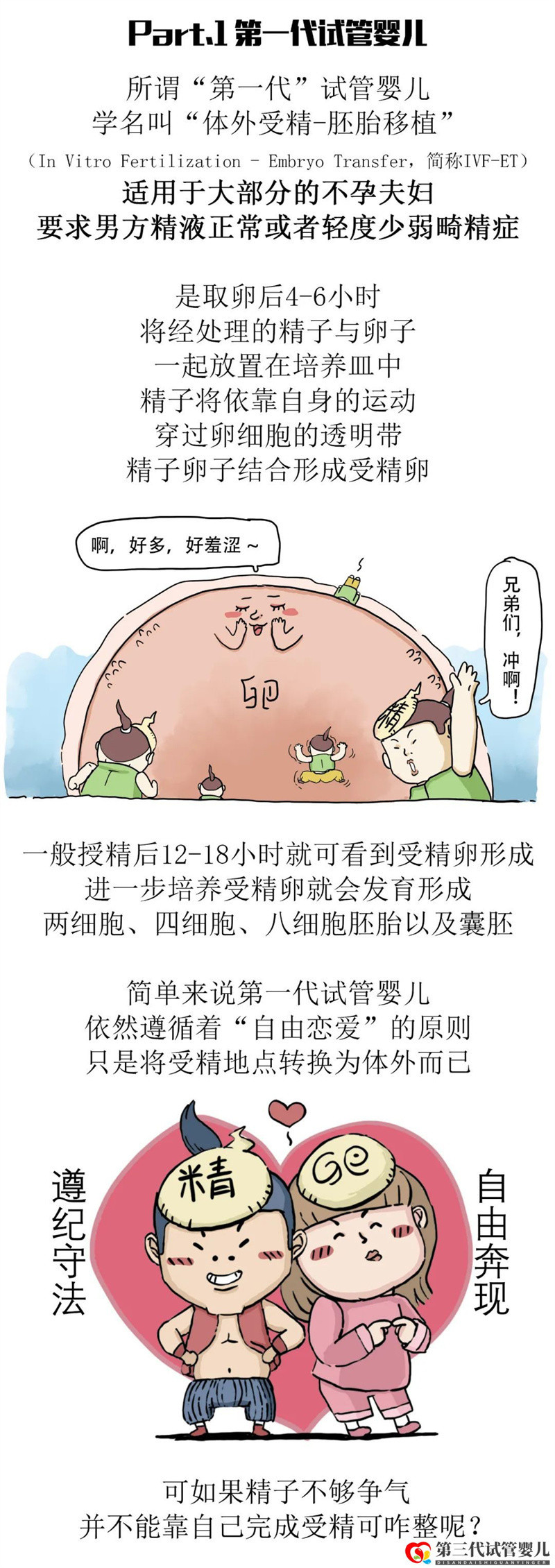 一代更比一代強三代試管強無敵(圖4)