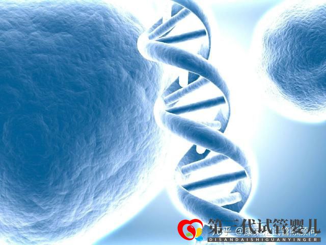 第三代試管嬰兒能篩選哪些遺傳病(圖2)