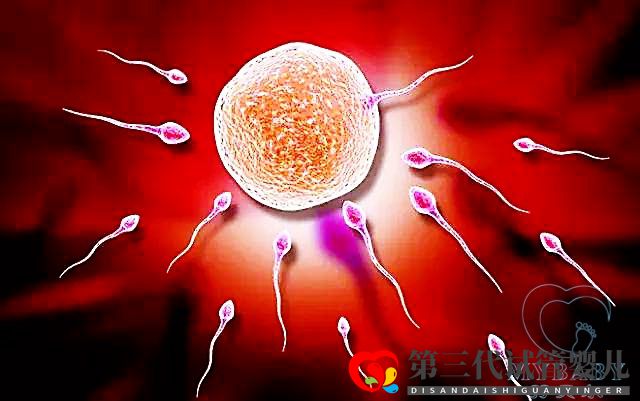 精子不動可以做試管嗎？(圖1)