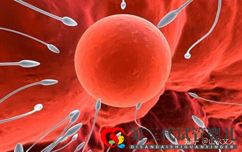 試管嬰兒可以選擇性別嗎費用大概是多少錢(圖1)