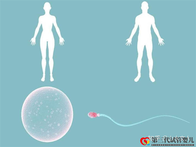 試管嬰兒可以選擇性別嗎費用大概是多少錢(圖3)