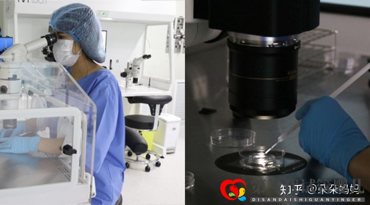 第三代試管嬰兒一次成功率大嗎(圖2)