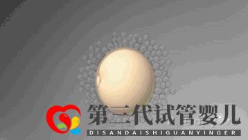 第三代試管嬰兒真的最好最先進嗎國內(nèi)哪里可以做(圖1)