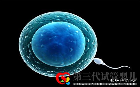 三代試管一個周期是什么意思(圖3)