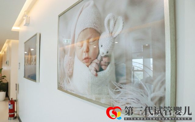 做三代試管大約多少錢一次(圖2)