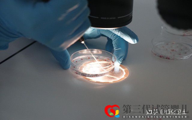 做三代試管大約多少錢一次(圖3)