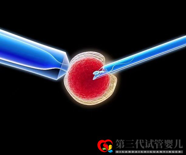 高齡女性在做三代試管時，取多少個卵子合適？(圖1)