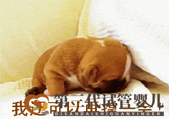 試管三代的費用是多少(三代試管費用明細)(圖1)