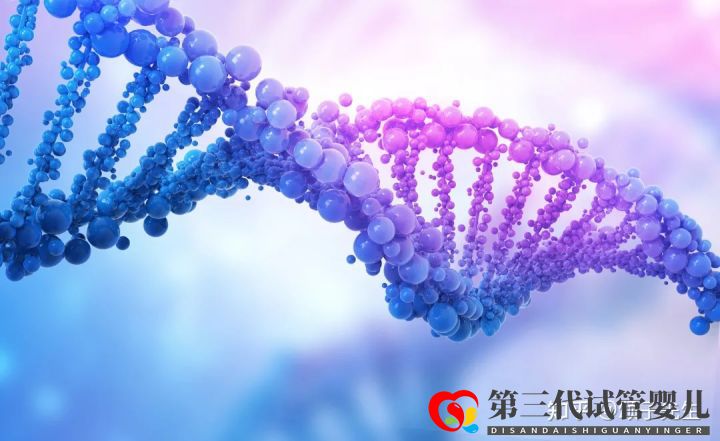 胚胎染色體異常究竟是什么原因(圖2)