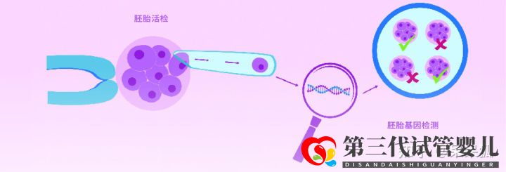 第三代試管可以篩選哪些遺傳病,第三代試管能避免遺...(圖5)