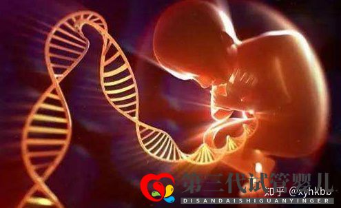 國內第三代試管嬰兒可以選擇性別嗎心悅告訴你(圖3)