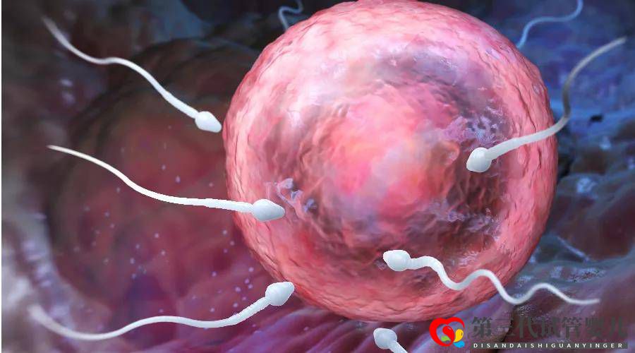 三代試管嬰兒移植后多久可以測(cè)到胎心？(圖1)