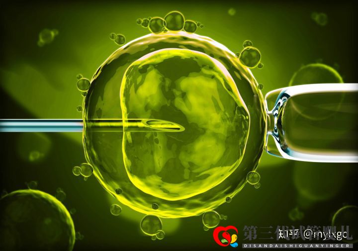 第三代試管嬰兒取卵后多久移植(圖1)