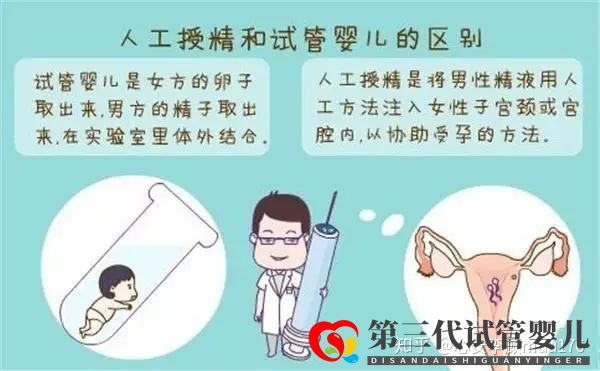 人工授精跟試管嬰兒的區別(圖1)