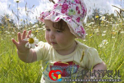 卵巢早衰的女性做供卵試管嬰兒成功率高不高(圖2)