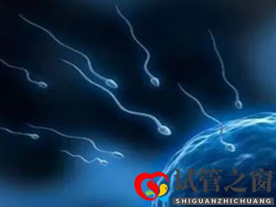 關于試管嬰兒成功率你們所不知道的(圖2)