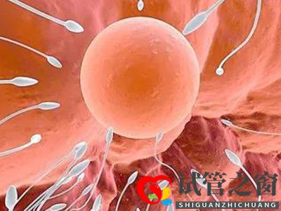 關于試管嬰兒常見的6大疑問，你都知道答案嗎(圖2)