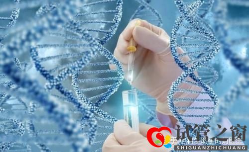 做試管嬰兒的全過程做三代試管嬰兒預備10萬夠不夠(圖3)