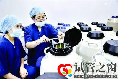 做試管嬰兒的全過程做三代試管嬰兒預備10萬夠不夠(圖12)