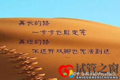 做試管嬰兒的全過程做三代試管嬰兒預備10萬夠不夠(圖14)