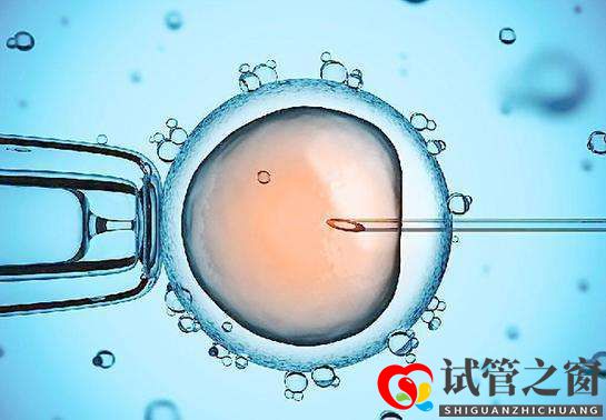 重慶做第三代試管嬰兒要多少錢(圖1)