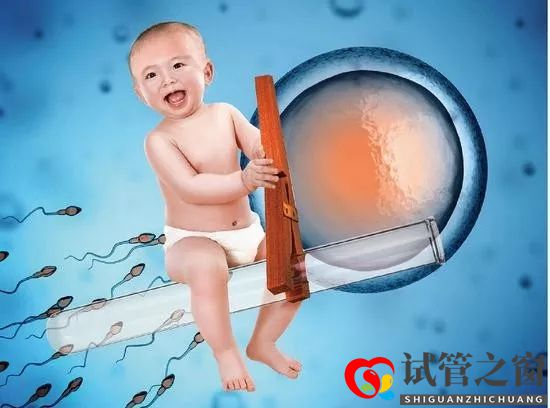 試管嬰兒一個周期大概多長時間及需要多少錢？(圖1)