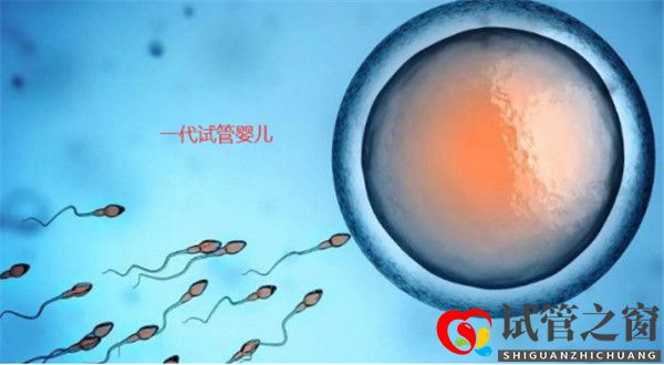 試管嬰兒分為幾大類各類試管嬰兒的適應癥分別有哪些(圖1)