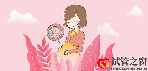 試管嬰兒助孕的八大詳情流程(圖1)