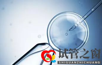 試管嬰兒的成功率是多少？怎么樣做可以提高成功率？(圖2)