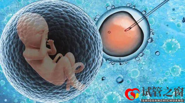 試管嬰兒能否成功與什么有關？(圖1)