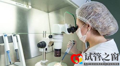 試管嬰兒費用可以報銷嗎(圖2)