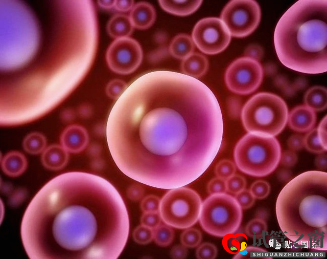 第三代試管要取多少卵子才可以成功得到一個健康的試管寶寶？(圖1)