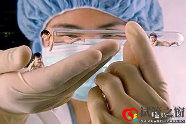 試管嬰兒過程是怎樣的？(圖2)