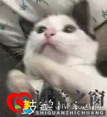 1代、2代、3代試管,有什么區(qū)別(圖9)