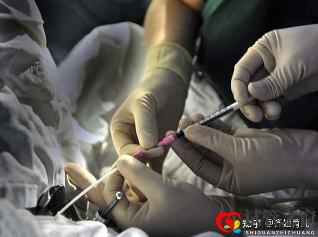 6年試管經歷告誡女性別輕易做試管嬰兒(圖11)