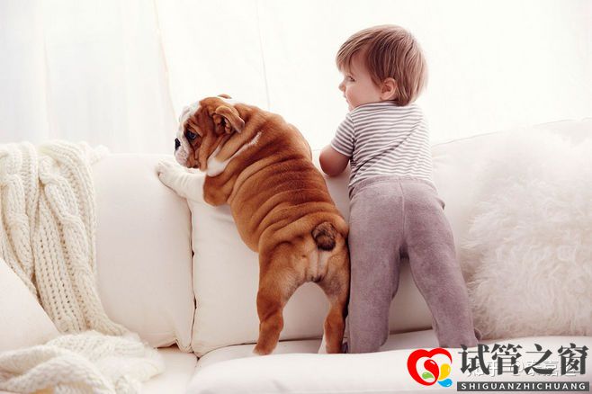 40歲做試管嬰兒生三胎,需要做足哪些準備(圖1)