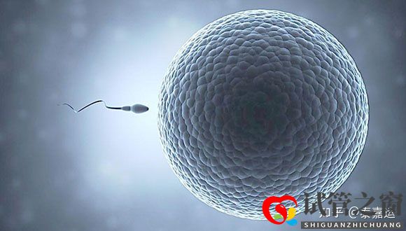 40歲做試管嬰兒生三胎,需要做足哪些準備(圖4)