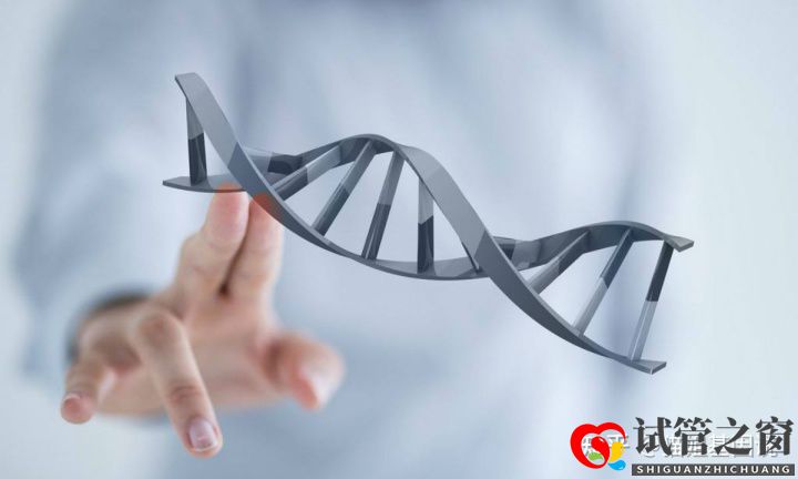試管之窗:2022年,醫療級基因檢測結果會更準確嗎(圖3)