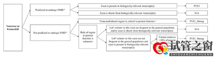 試管之窗:2022年,醫療級基因檢測結果會更準確嗎(圖11)