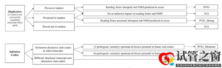 試管之窗:2022年,醫療級基因檢測結果會更準確嗎(圖15)