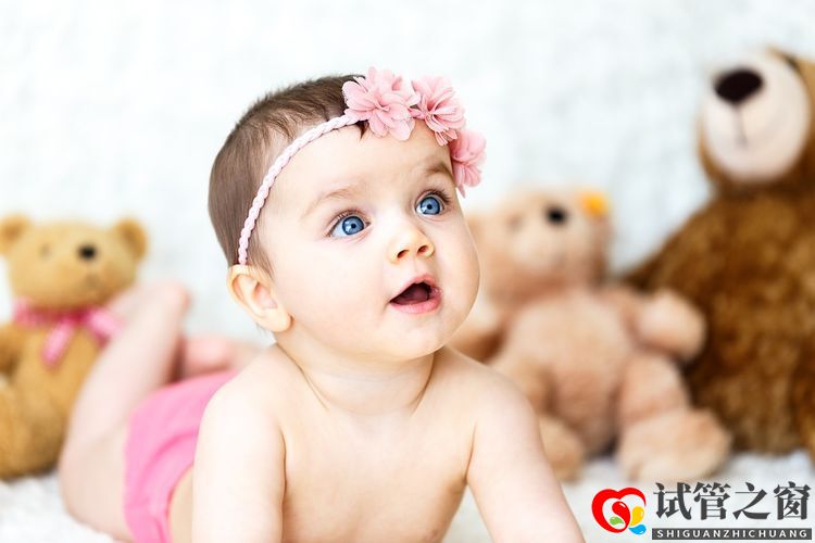 試管嬰兒過程中，胚胎和年齡的關(guān)系以及胚胎分級的原理(圖1)