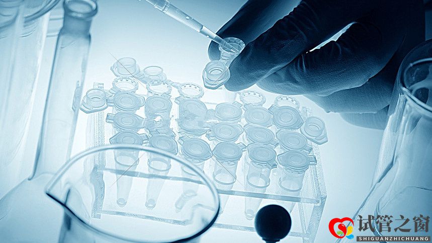 試管嬰兒移植后打黃體酮針(子宮內(nèi)膜厚度多少正常)(圖1)