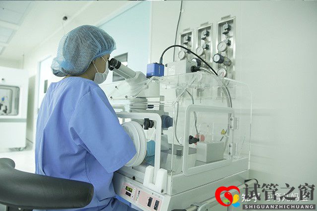 做試管的過程以及經(jīng)過時(shí)間注意(圖1)