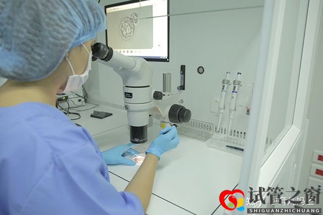 做試管的過程以及經(jīng)過時(shí)間注意(圖2)