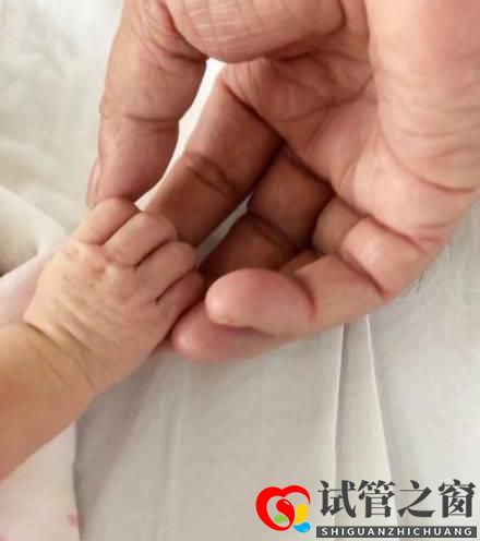 他是知名大導(dǎo)演,妻子為其3次試管取70顆卵子,今年近百歲成人生贏家(圖7)