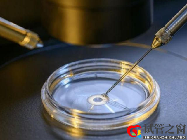 無精癥做試管成功率在30%左右