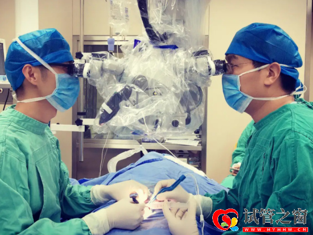 單角子宮可以進行子宮矯正手術