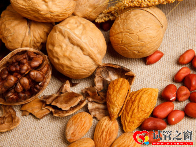 堅果蛋白質(zhì)是提高精子質(zhì)量的重要元素