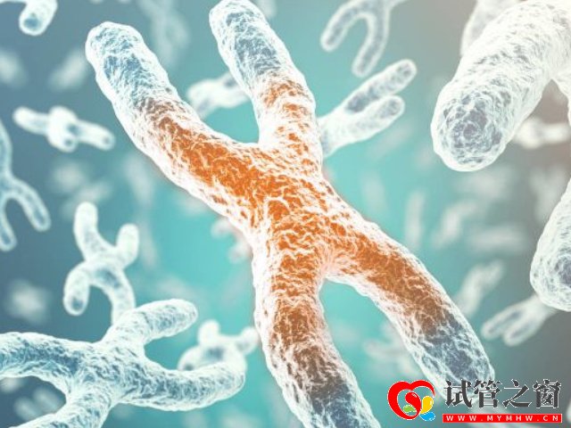 三種常見染色體異常遺傳病