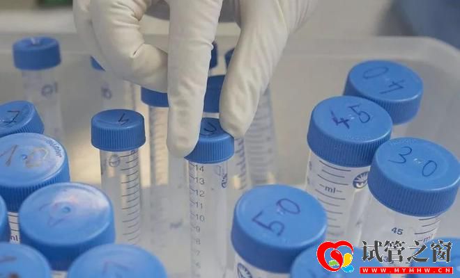 性別鑒定、包生男女三代試管「亂象」緣何產生(圖3)